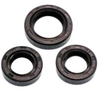 Замена сальника заднего моста в санрено