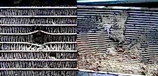 примеры как пробивает радиатор