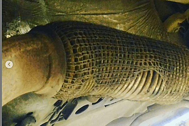 Гофра, надетая на глушитель - перед тем, как ее снимут чтобы поменять